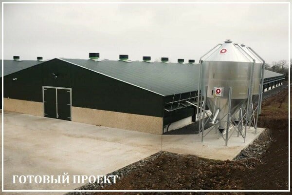 Этапы возведения птицефабрики от завода ВелесТент-рюп